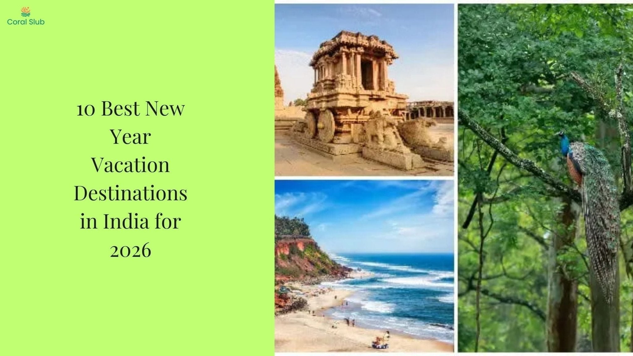10 Best New Year Vacation Destinations in India for 2026
